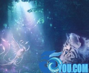 精靈之根1.15無CD無限藍P閃版