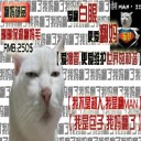 翻媽包之翻斗世界6.0正式版