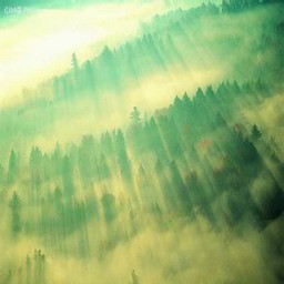 災厄IV黎明天際3.0(含隱藏英雄密碼)