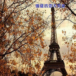 德維吉亞大災變0.9