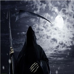 天羅地網V6最新版(含隱藏英雄密碼)