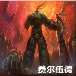 費(fèi)爾伍德1.6