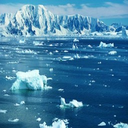 森林里的迷茫2.2