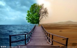 沙漠余生1.4正式版