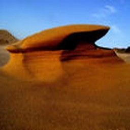 新海灘避難1.0正式版(生存對抗)