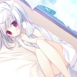 新翼之夢4.7無CD無限藍P閃版