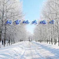 新雪地大逃亡1.6.0內測版15