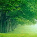 獸人逃亡1.2a修復(fù)版