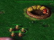 風雨的昆蟲大戰雙圖版 1.14