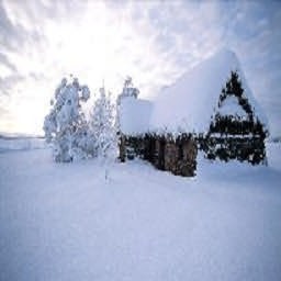 逃離瘋人院2之冰天雪地