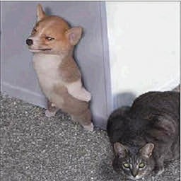 Hide&SeeKill(捉迷藏)v1.06d