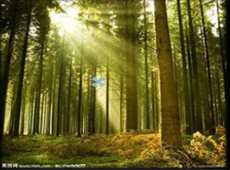 墜機于詭異森林 3.1