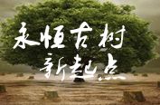 永恒古樹Ⅱ新起點