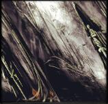 僵尸zombie1.4修正版