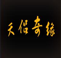 天侶奇緣 1.3.0正式版