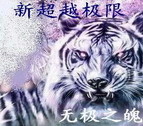 新超越極限2.43G正式版(附隱藏英雄密碼)
