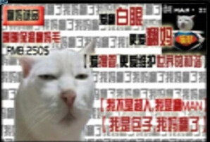 翻媽包之翻斗世界4.0正式版