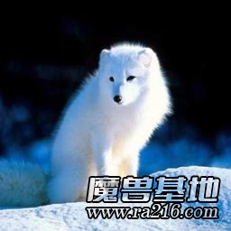 雪地幸存者IMBA1.24正式版11專版