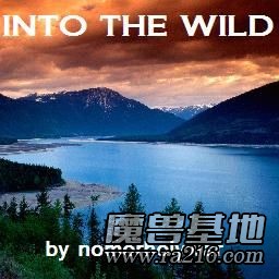 Into the Wild LX