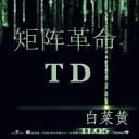 矩陣革命TD BETA0.4