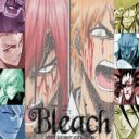 死神_Bleach[1.35國慶版]