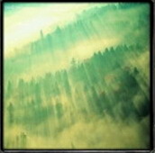 災厄III永無止境3.54