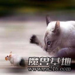 貓捉老鼠 4.13正式版